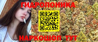 крисы Чебаркуль